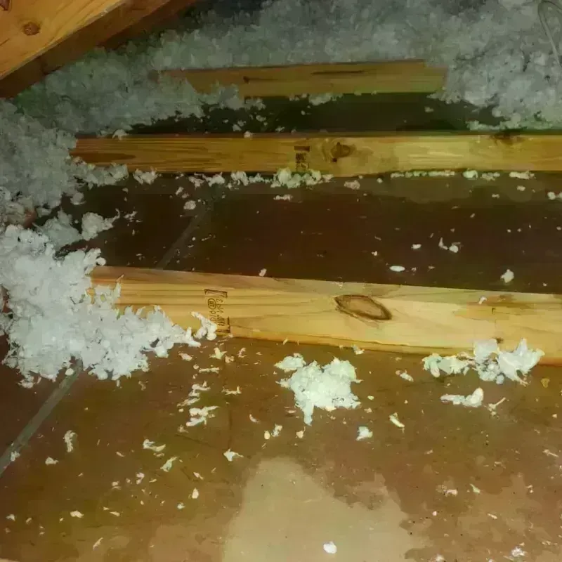 Attic Water Damage in Kahaluu, HI